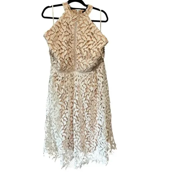 ModCloth Liza Luxe Lace Defining Devine Sleeveless Dress ModCloth Liza Luxe Lace Defining Devine Sleeveless Dress